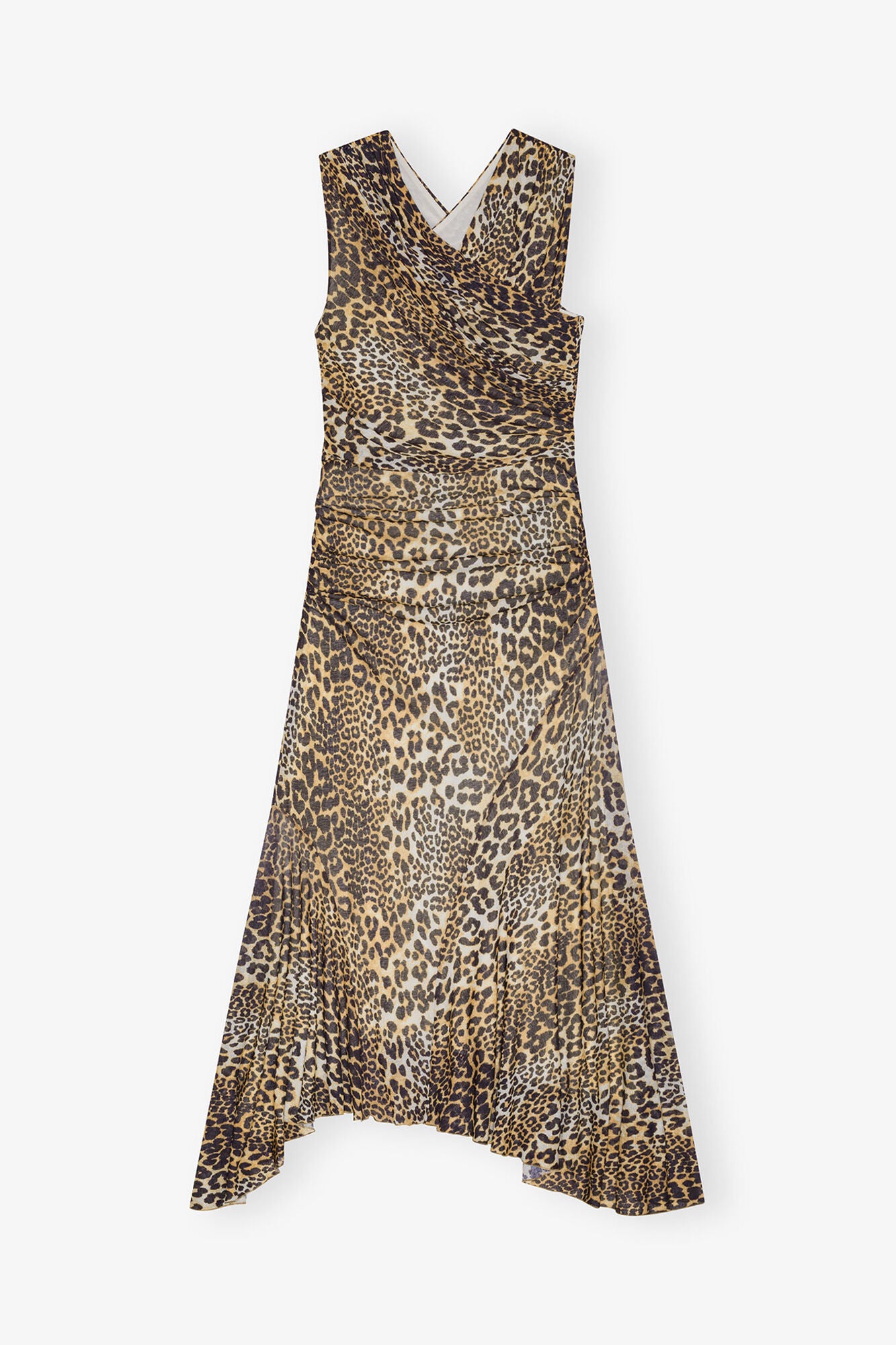 Leopard,0