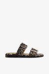Leopard 01