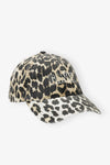 Leopard 01